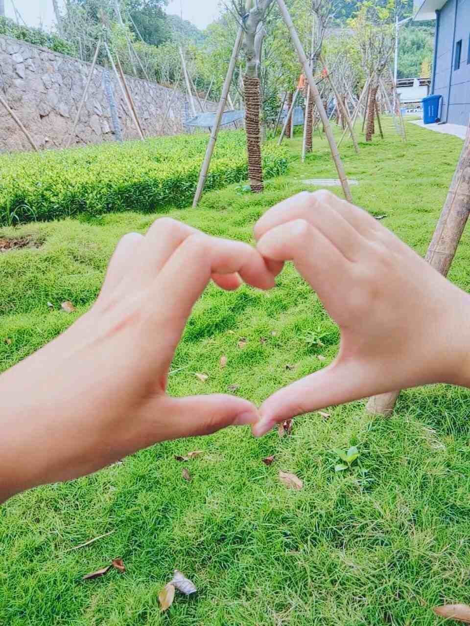 比个心